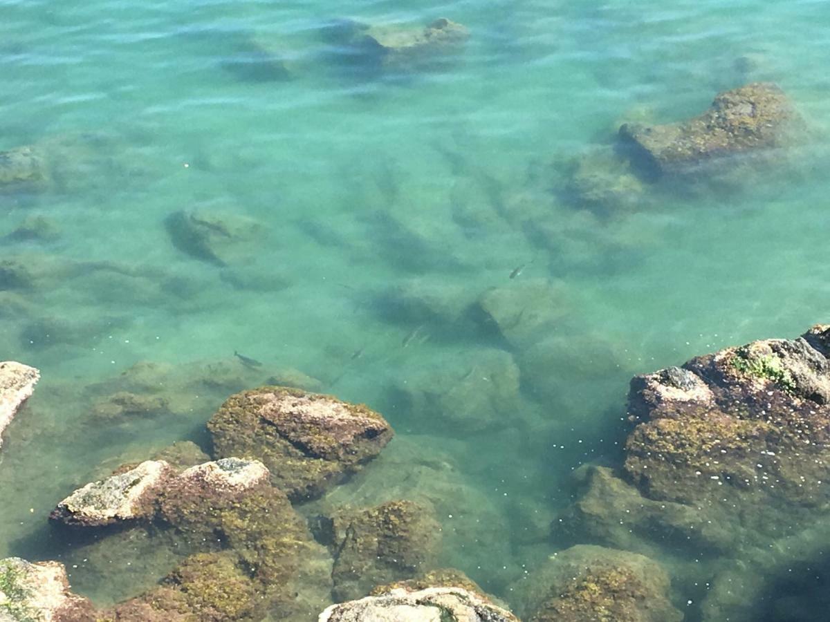 La Casetta Di Dory Sul Mare Genoa Bagian luar foto